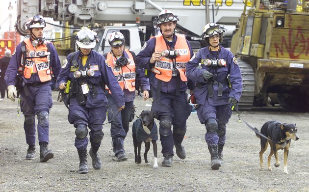Search-and-rescue-dogs-leaving-ground-zero