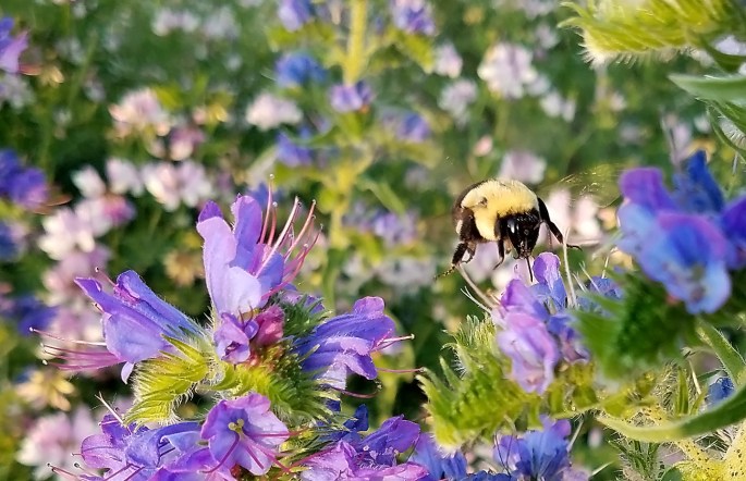 WHEELWAY_BLOG_PHOTO_04