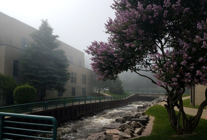 WHEELWAY_BLOG_PHOTO_BEAR_RIVER_FOGGY_01