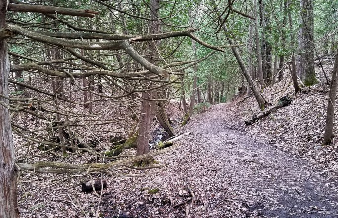 AGNES_ANDRAE_NATURE_PRESERVE_02