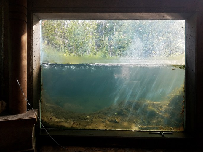 ODEN_STATE_HATCHERY_01